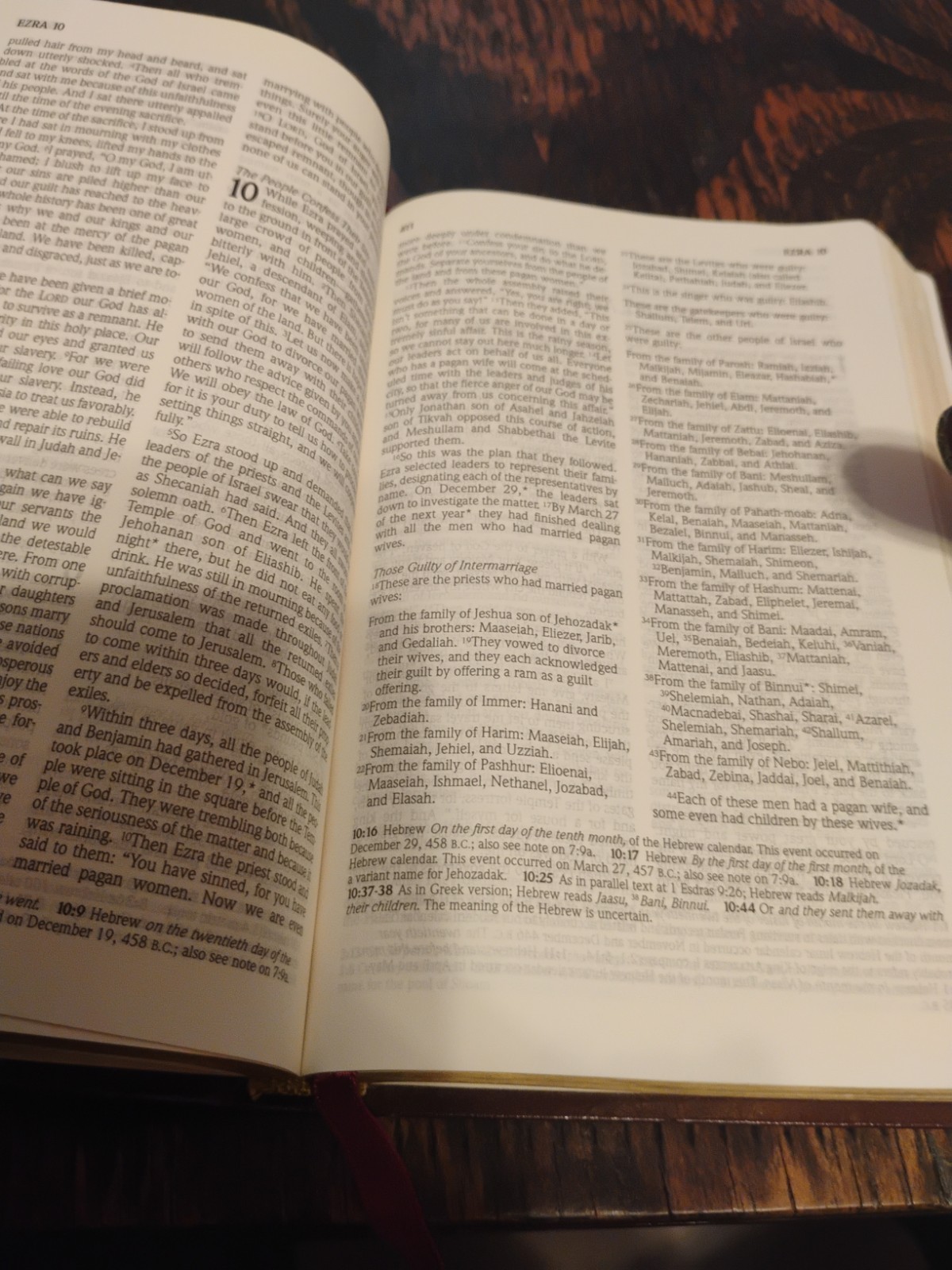 Slimline Reference Bible NLT New Living Translation by Tyndale Burgundy leather