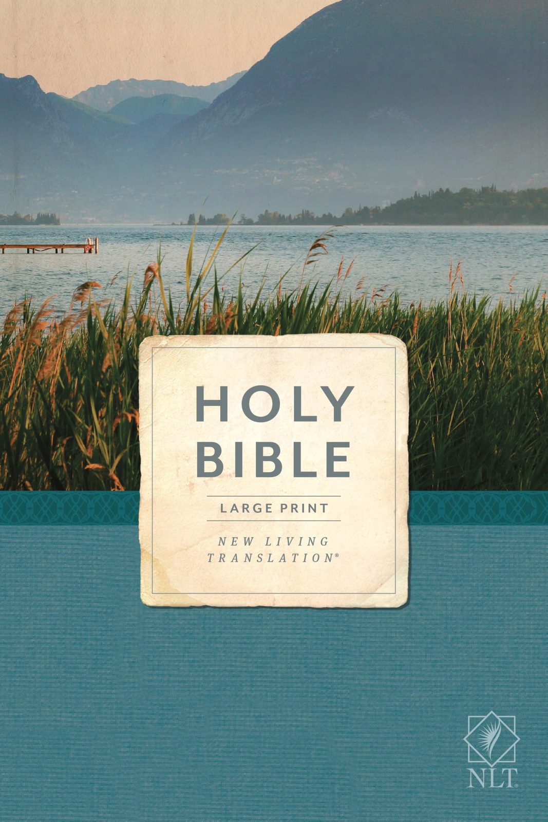 NLT Economy Outreach Bible, Large Print – paperback New Living Translation|T…
