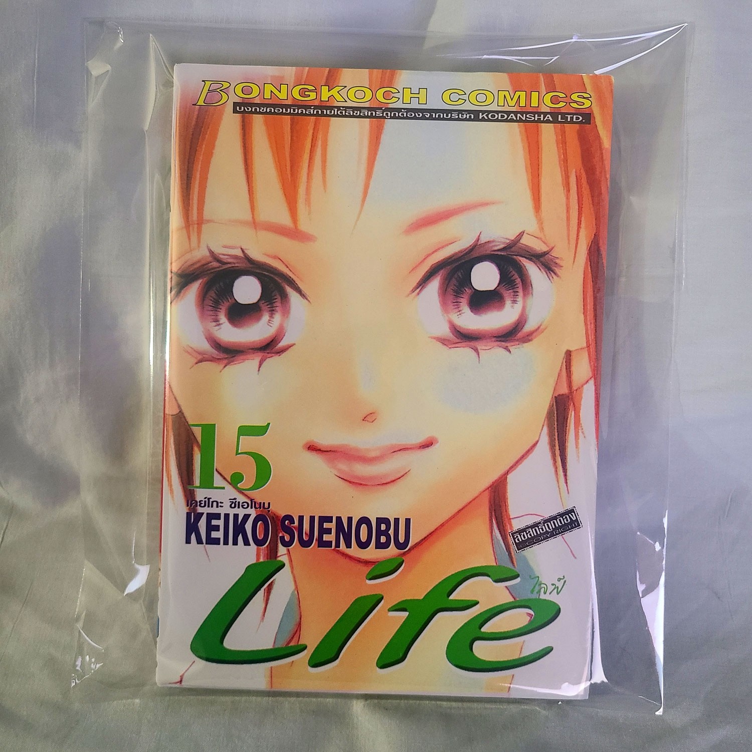 Kodansha Comics Book Betsufure Keiko Suenobu #15 Life Manga Japanese Softcover