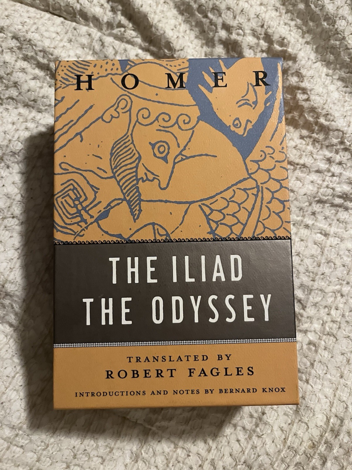 Homer’s The Iliad and The Odyssey Book Fantasy Paperback Boxed Set Classics