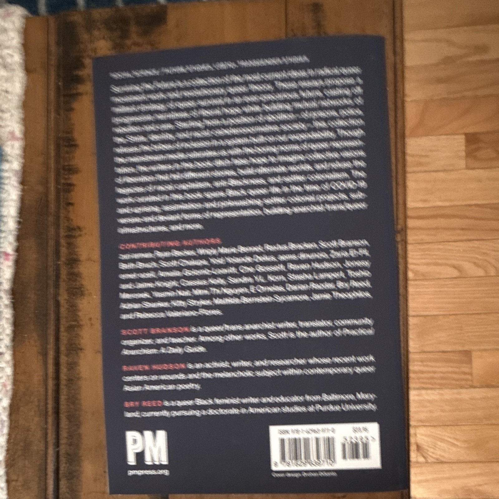PM Press Surviving the Future: Abolitionist Queer Strategies Paperback Essays