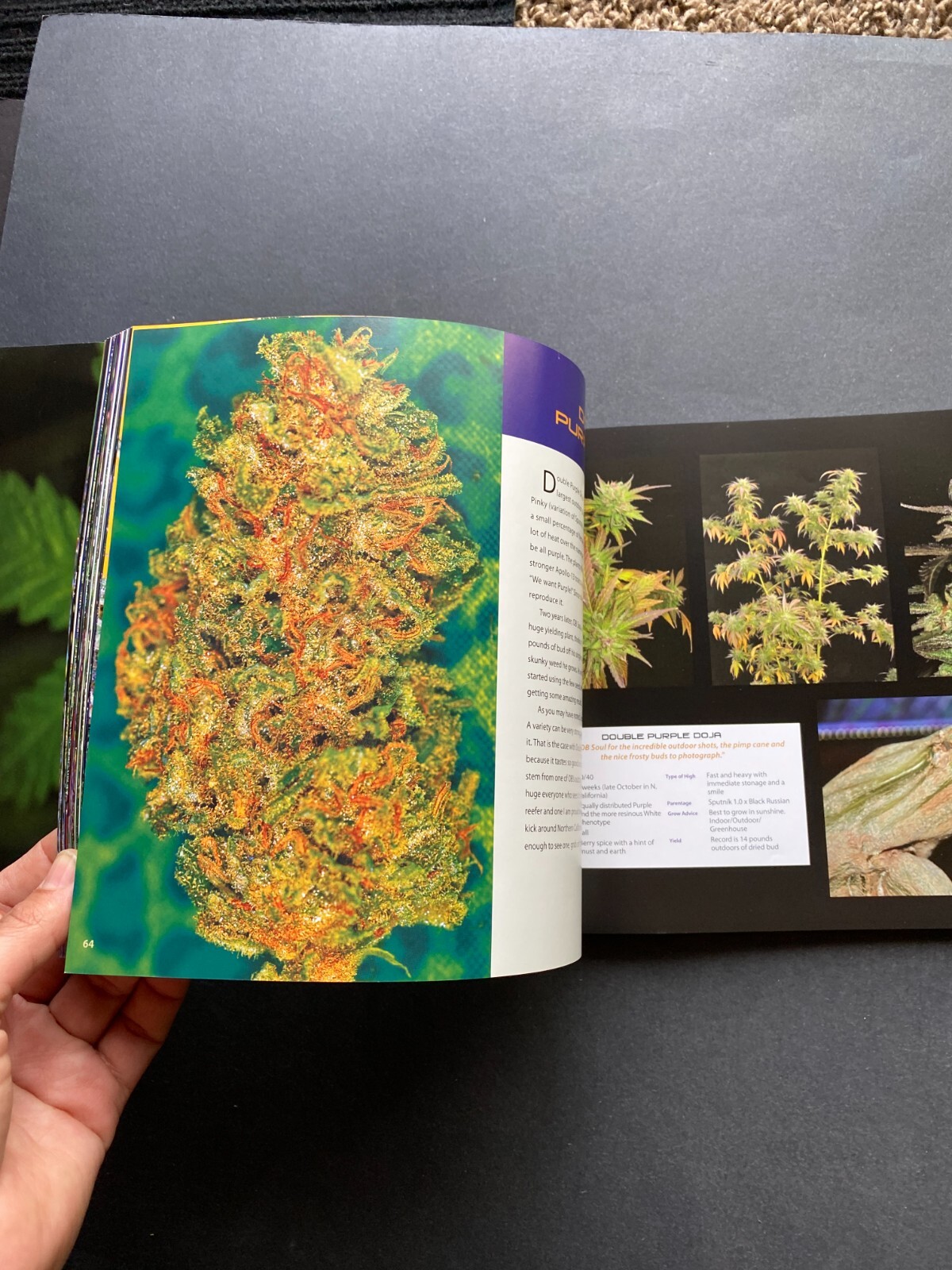 2011 – Dank 2.0 – Subcool – Illustrated – Popular Culture – Gardening Marijuana