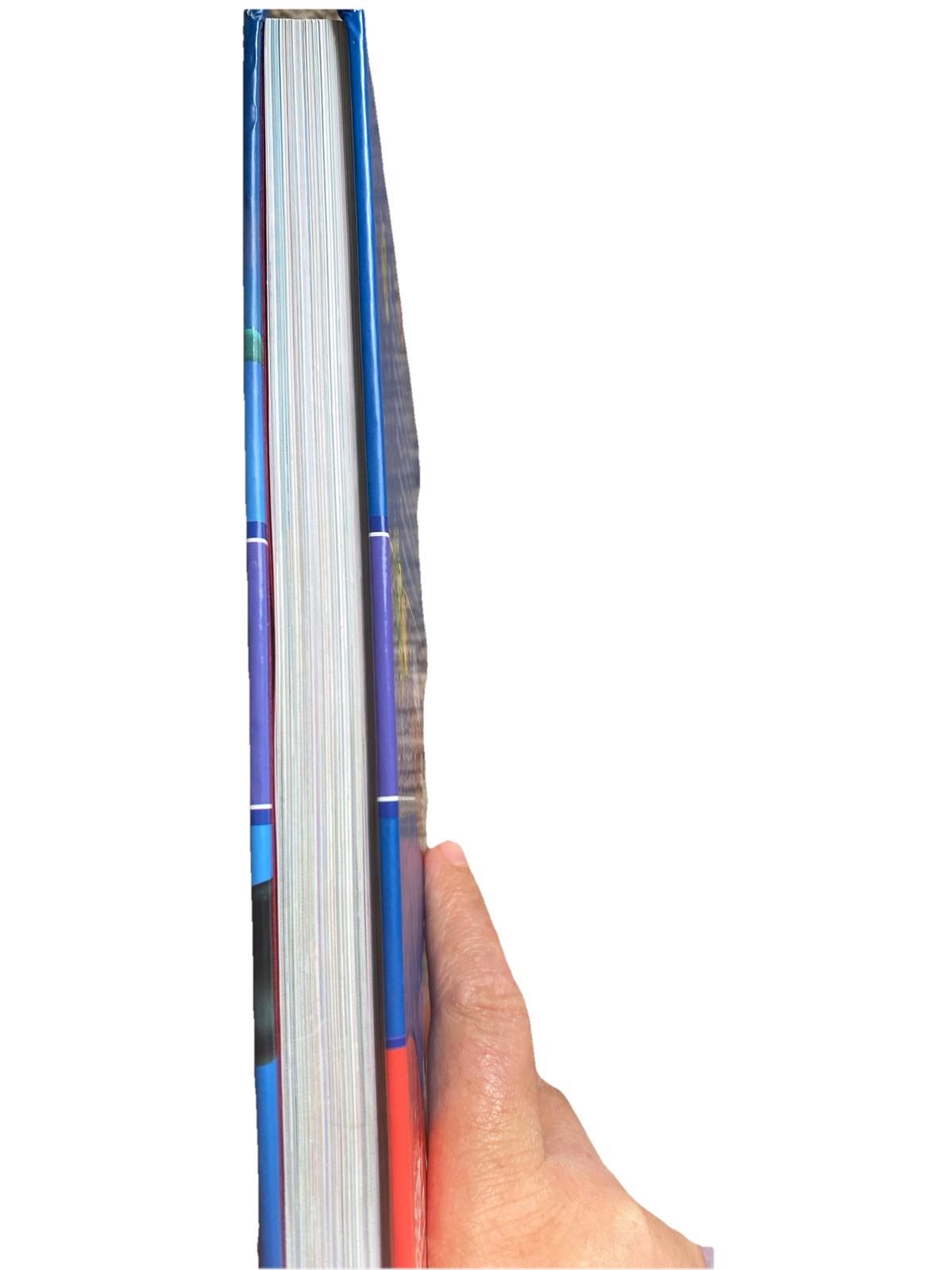 Disney Junior Storybook Collection Hardcover by Disney Artists (2015-) 303 Pages
