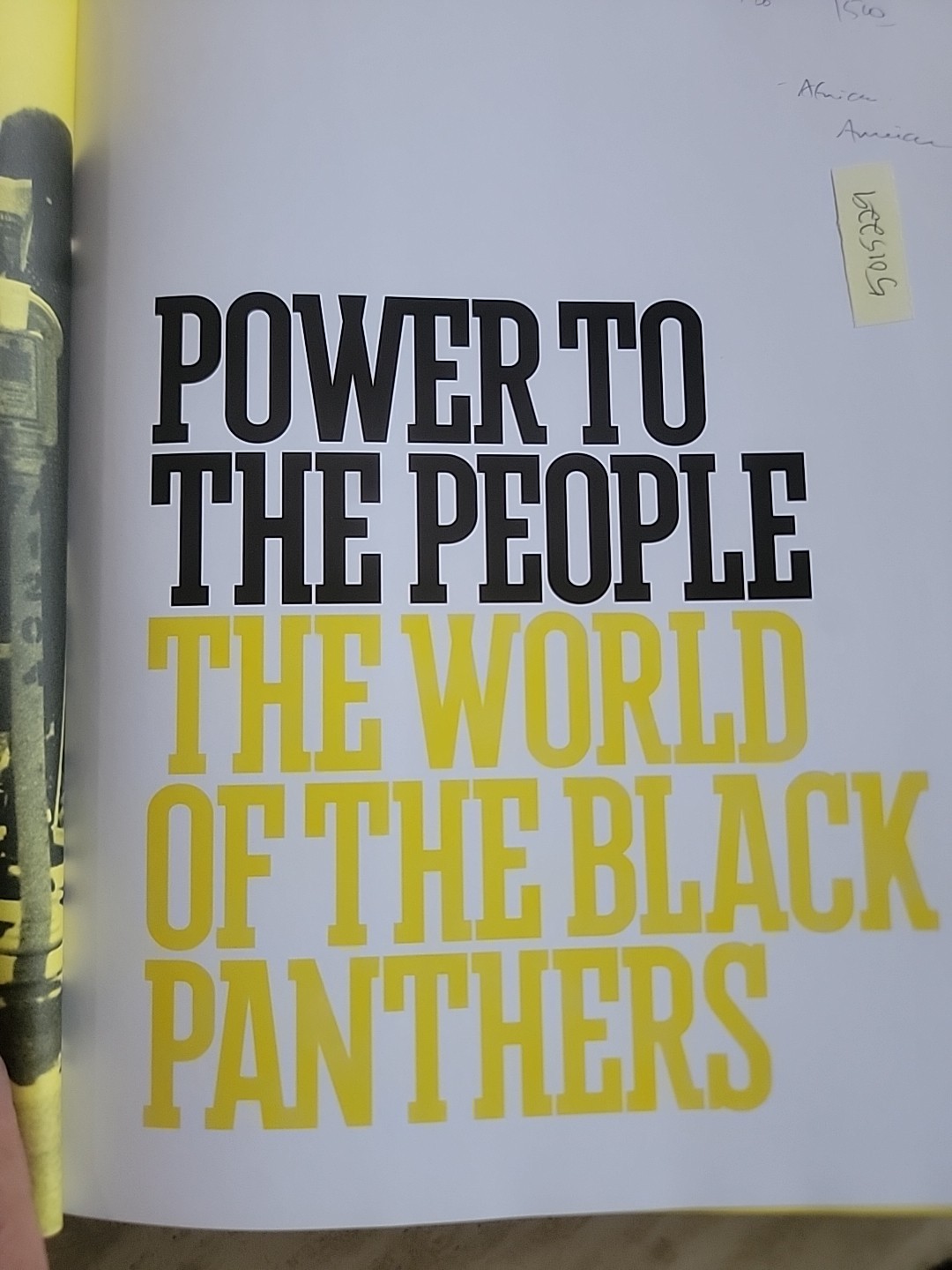 Power to the People.The World of the Black Panthers.