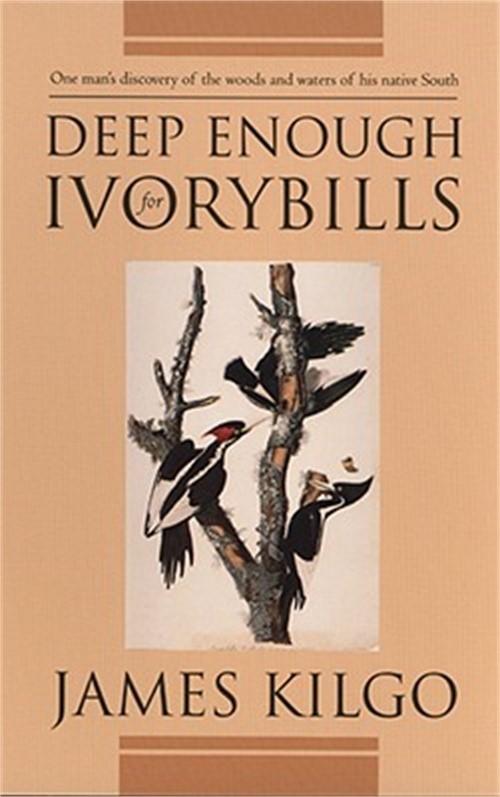 Deep Enough for Ivorybills (Paperback or Softback)