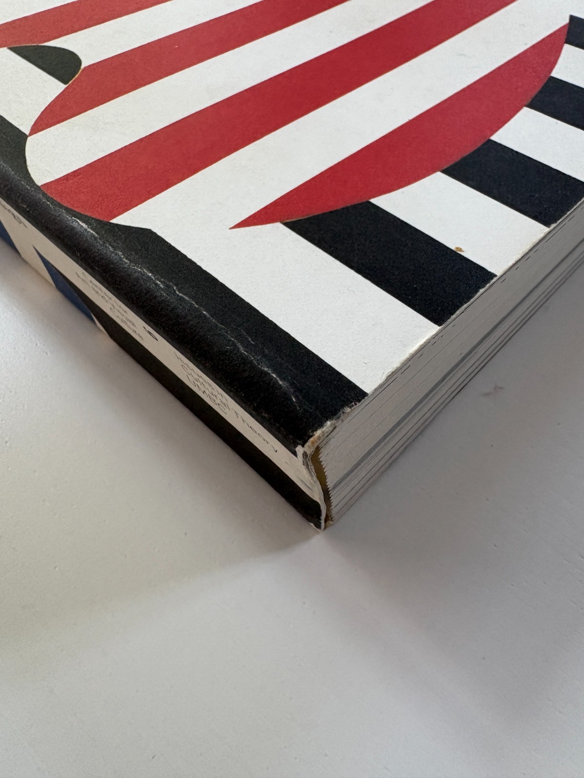 PAUL RAND: MODERNIST DESIGN Graphic Design History COLLECTIBLE 2003 Book