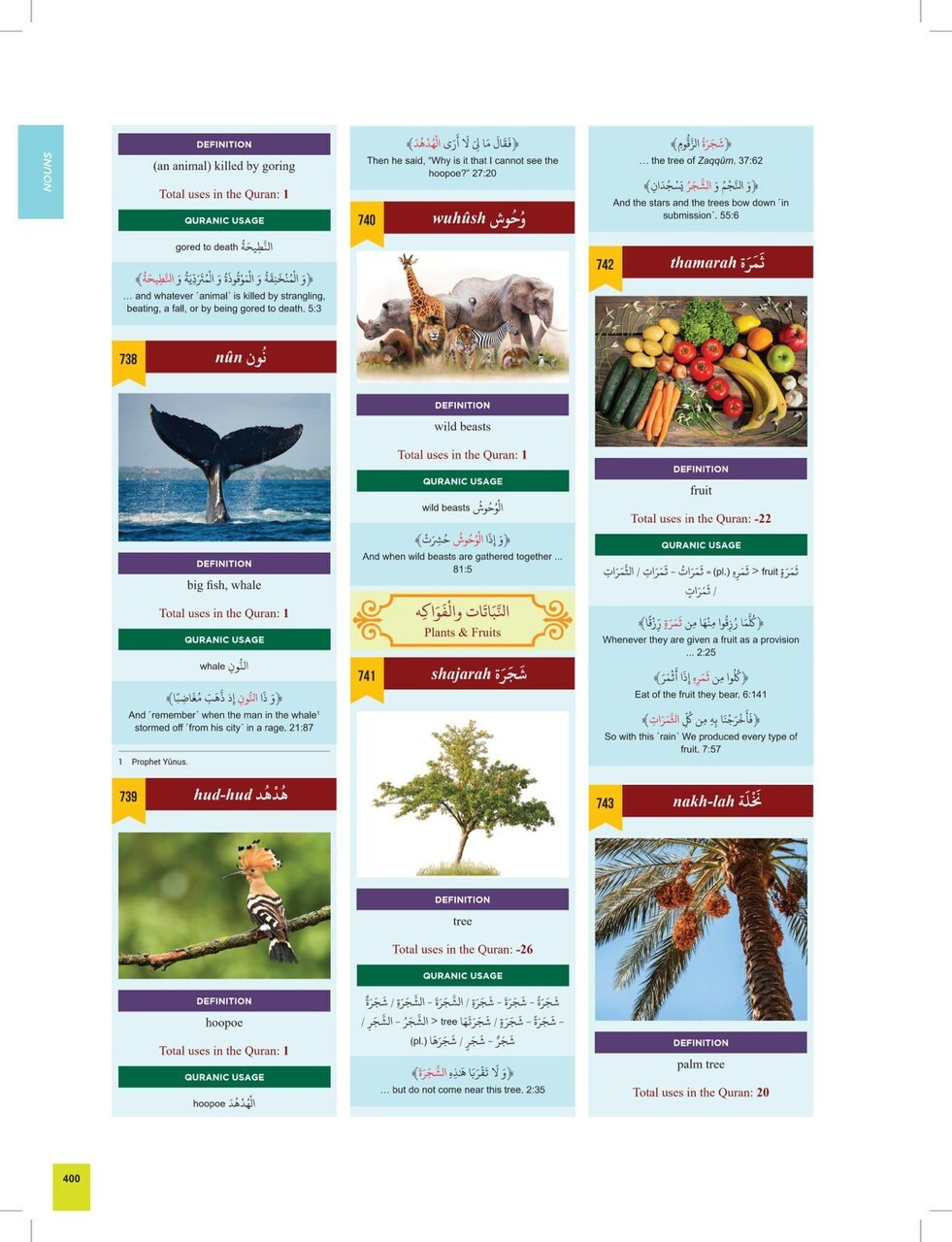 The Clear Quran® Series Dictionary Contain 2,000 Entries – 1.13″x8.38″x11.25″