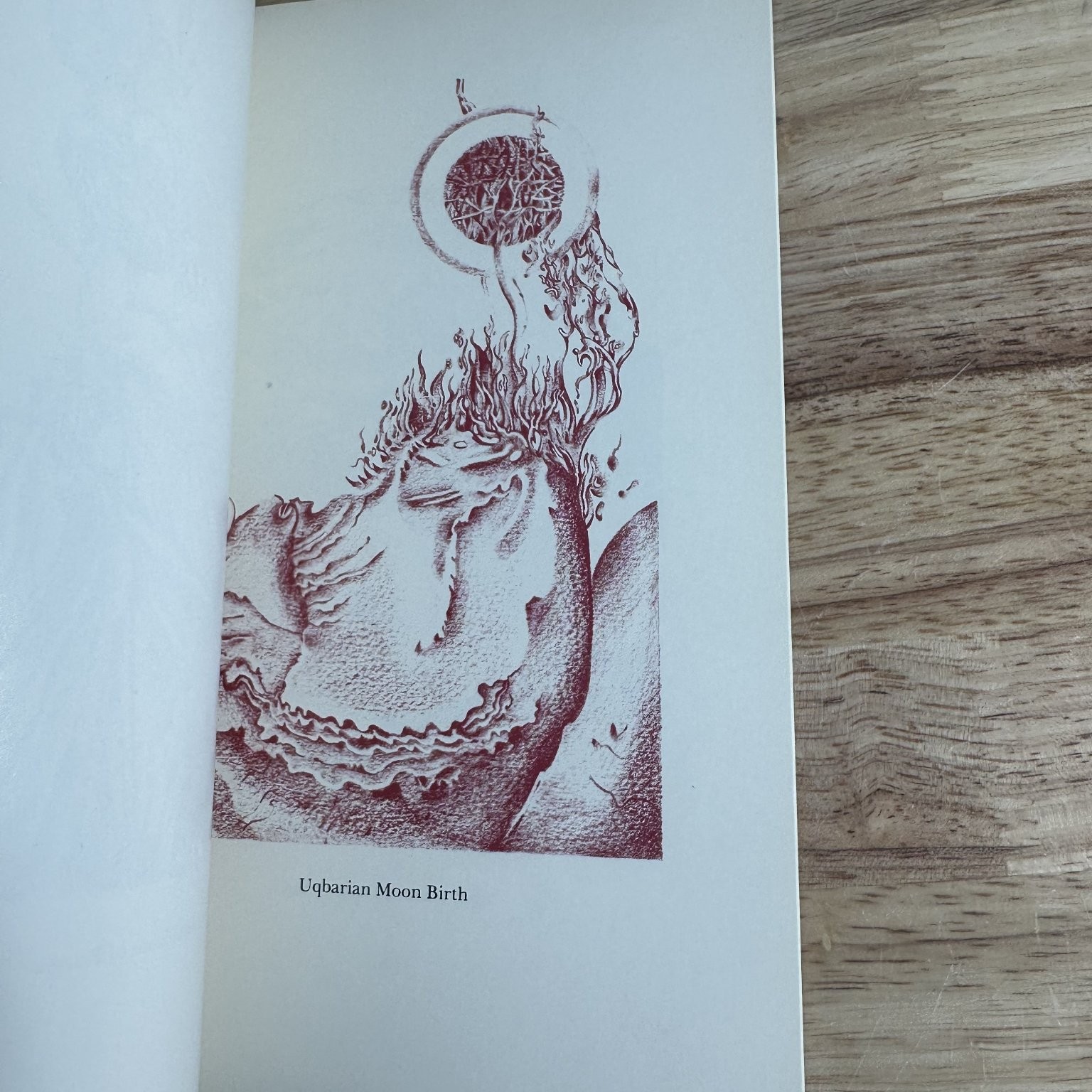 Tlön, Uqbar, Orbis Tertius Borges 1983 Illustrated The Porcupine’s Quill