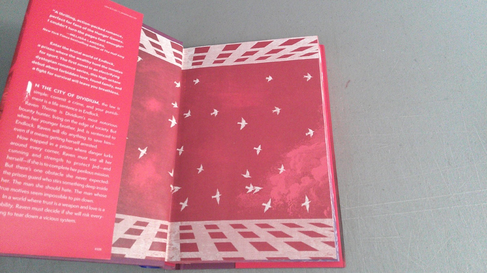 To Cage A Wild Bird 2025 HC Deluxe Limited Edition by Brooke Fast