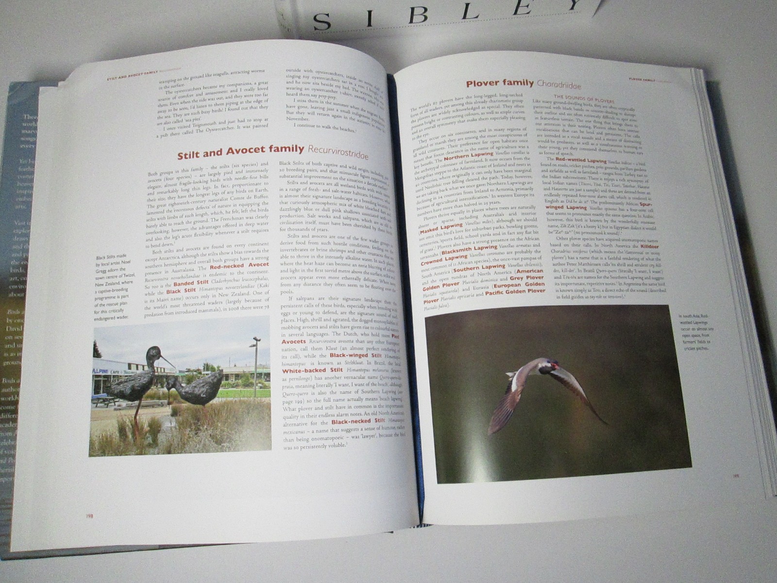 Ornithology Birds Bird Species Books Birding Birdwatching Biology History People