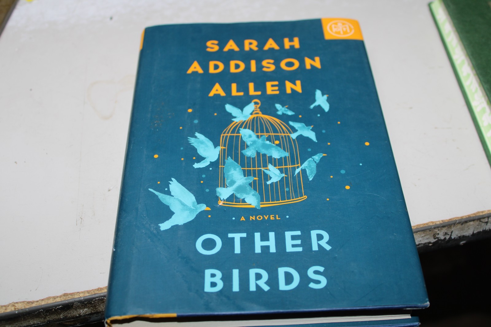 Other Birds: A Novel – hardcover Allen, Sarah Addison
