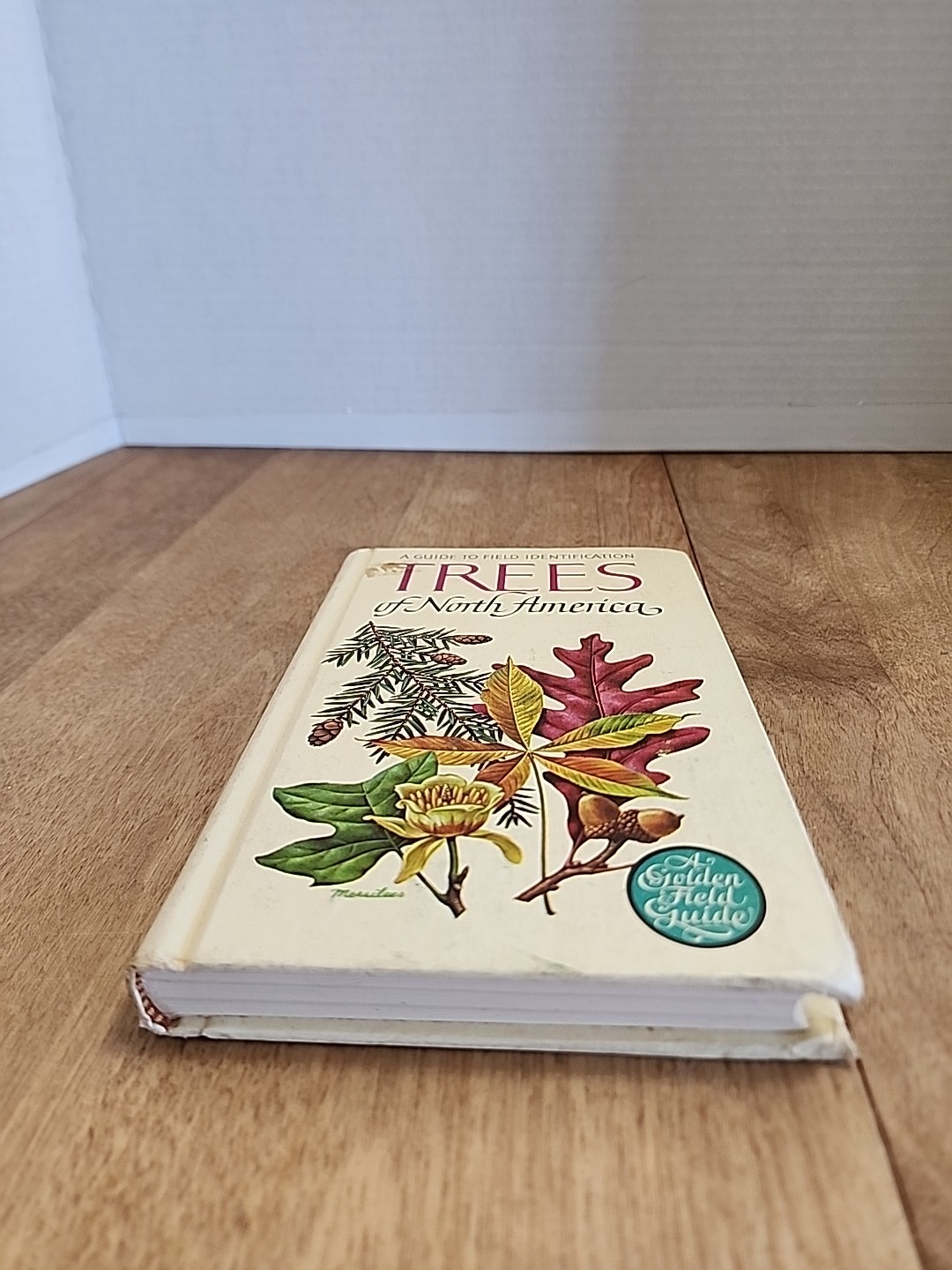 A Guide To Field Identification Trees of North America 1968 Golden Field Guide