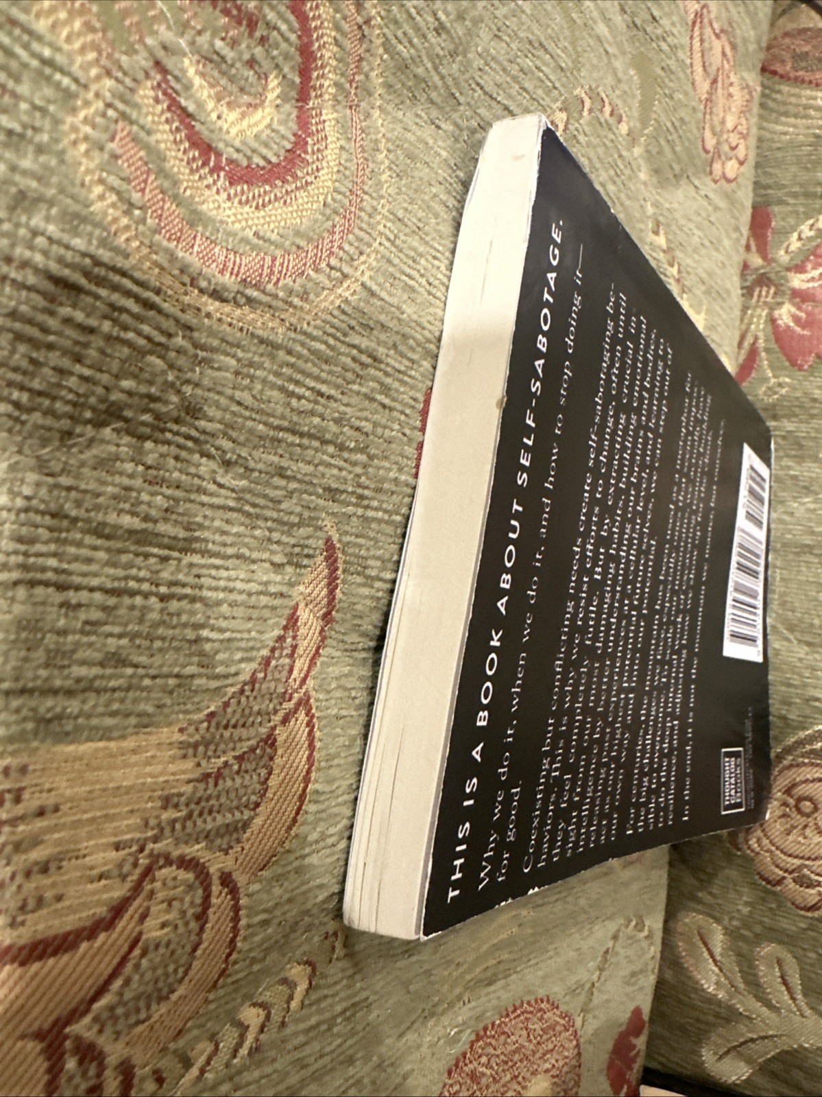 The Mountain is You By Brianna Wiest USA Stock Premium Quality