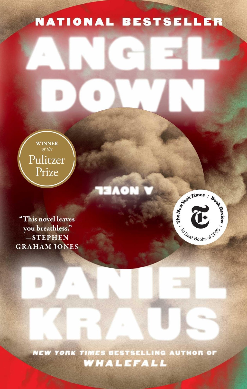 Angel Down Pulitzer Prize Winner A Novel