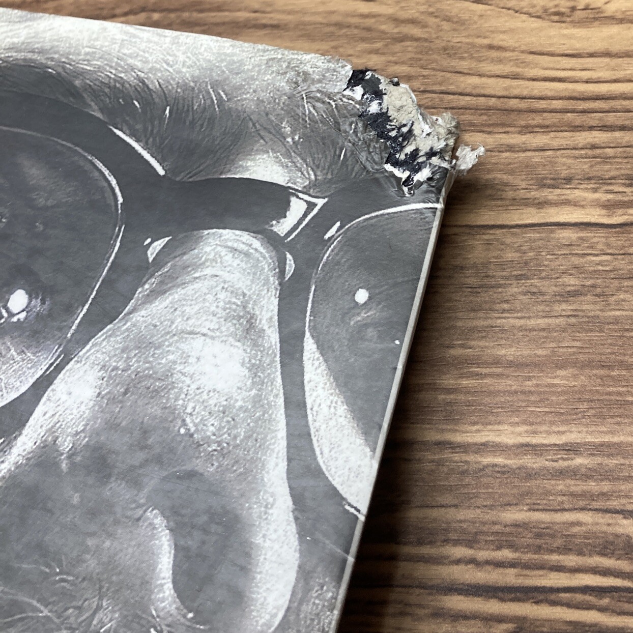Chuck Close by Robert Storr (2002, Hardcover w/ DJ, MOMA) – SEE PHOTOS