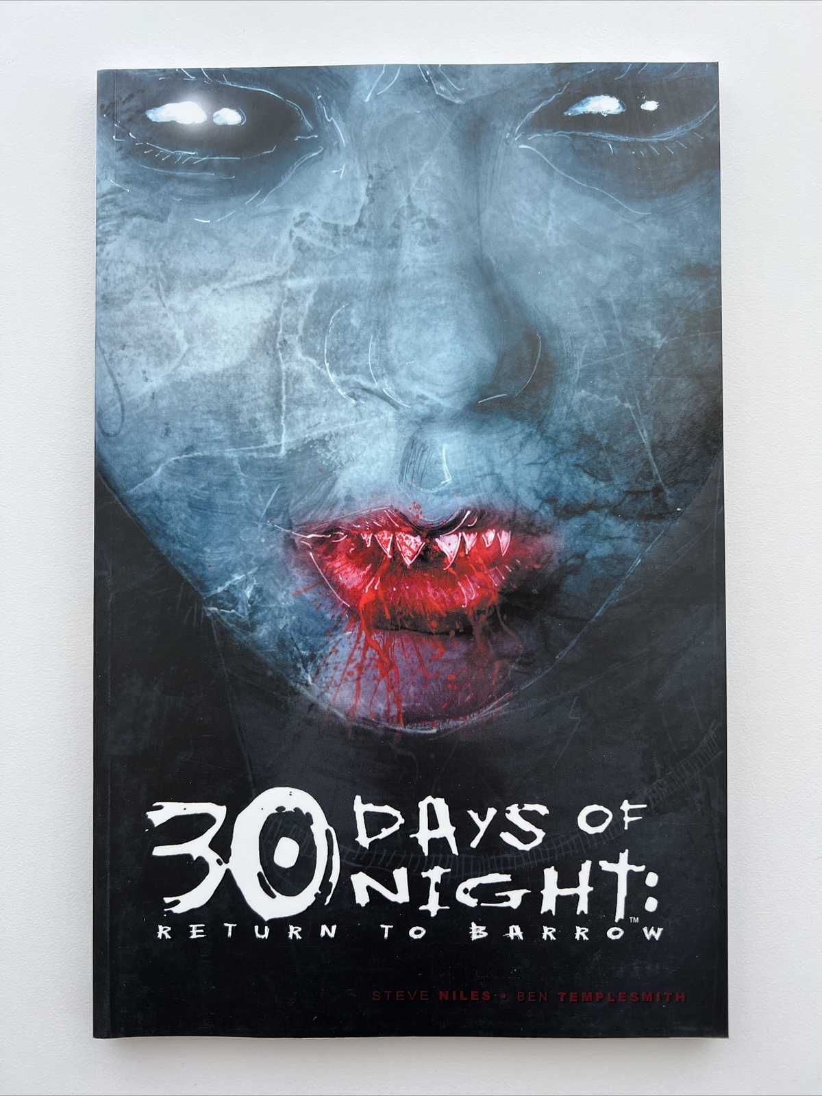 30 Days of Night : Return to Barrow by Steve Niles (2004, Trade Paperback) NEW
