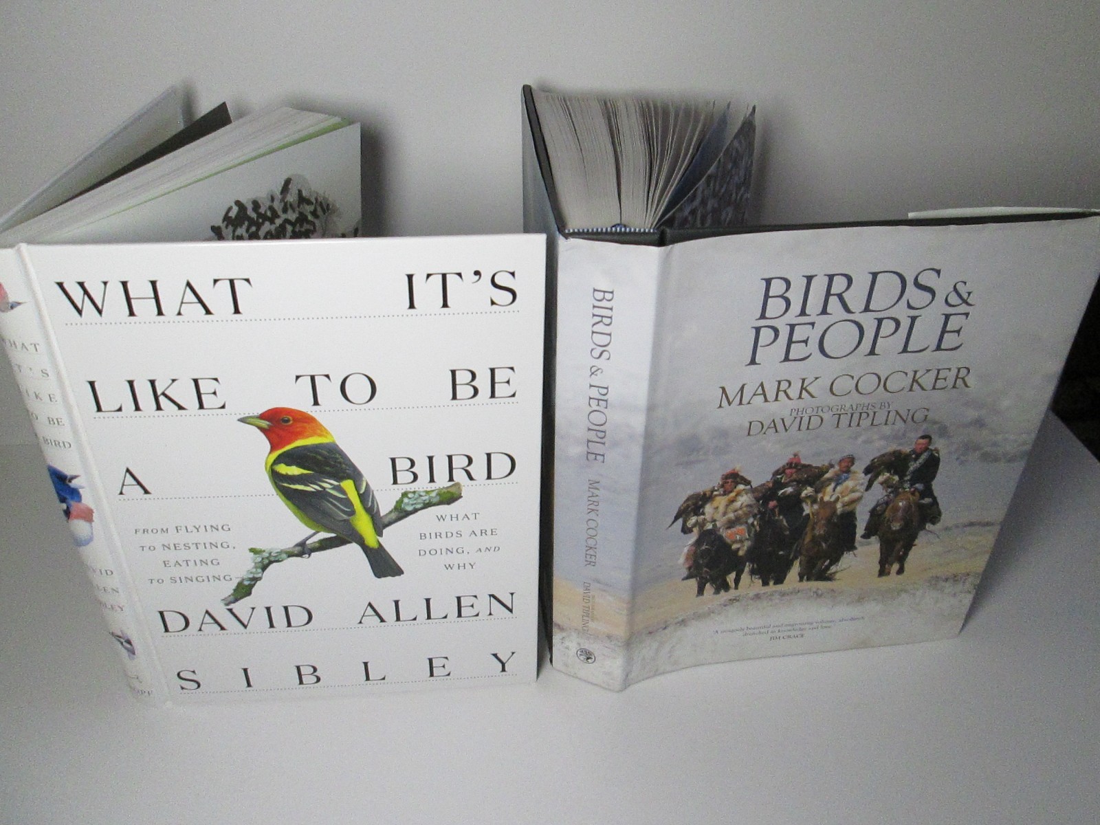 Ornithology Birds Bird Species Books Birding Birdwatching Biology History People
