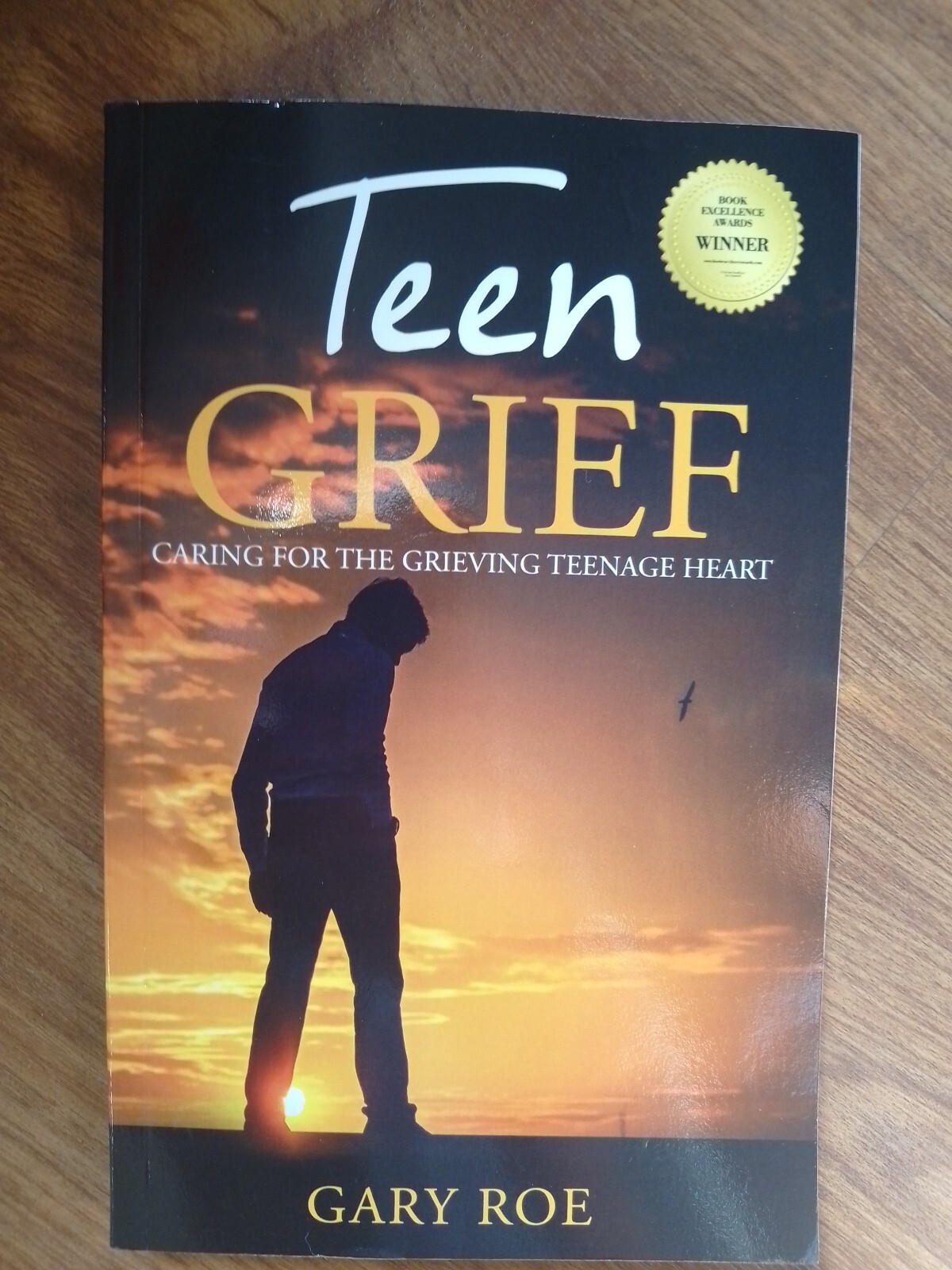 Teen Grief , Gary Roe , Papper Back , Brand New.B1