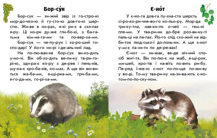 Тварини лісів. Читаю про Україну Book in Ukrainian