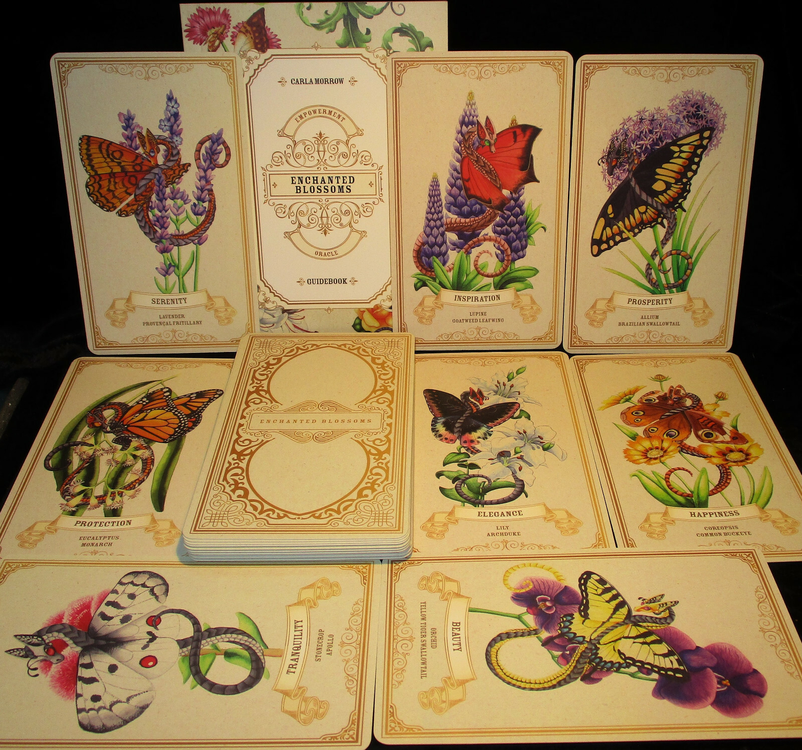 SEALED NEW ~ ENCHANTED BLOSSOMS CARDS & BOOK ORACLE DRAGONS BUTTERFLIES FLOWERS