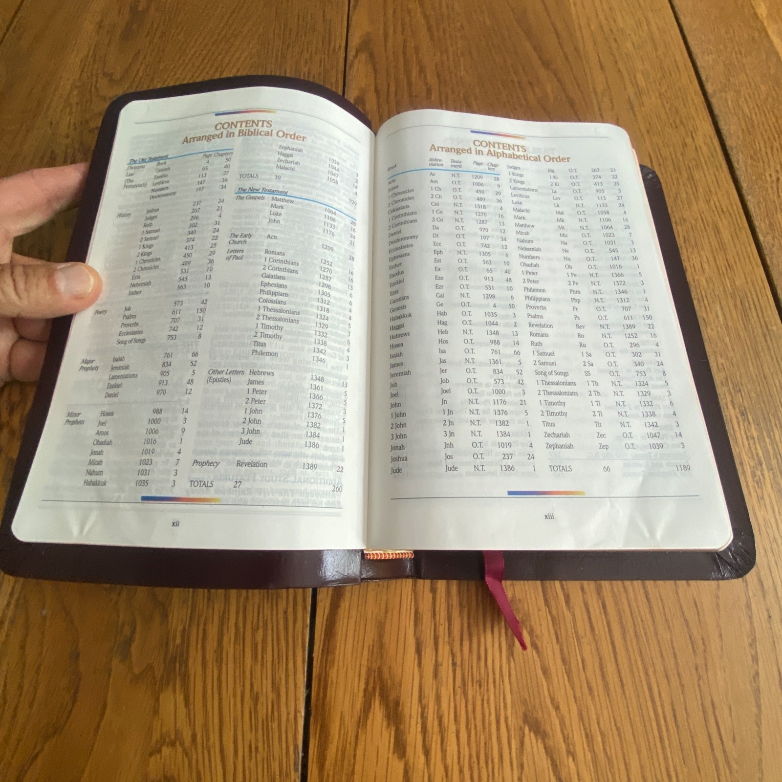 The NIV Rainbow Study Bible Bold Line Edition Burgundy