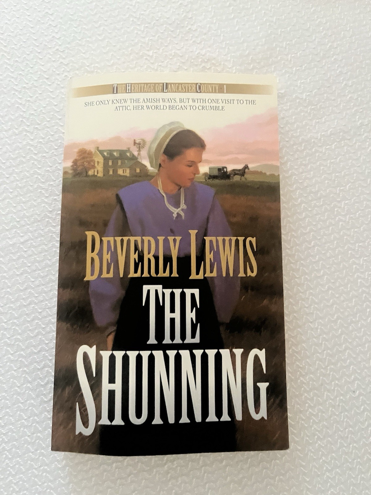 The Shunning, Lewis, Beverly, Good Book