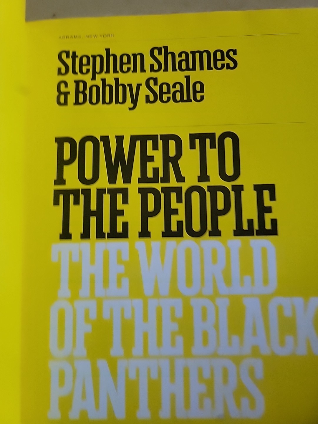 Power to the People.The World of the Black Panthers.