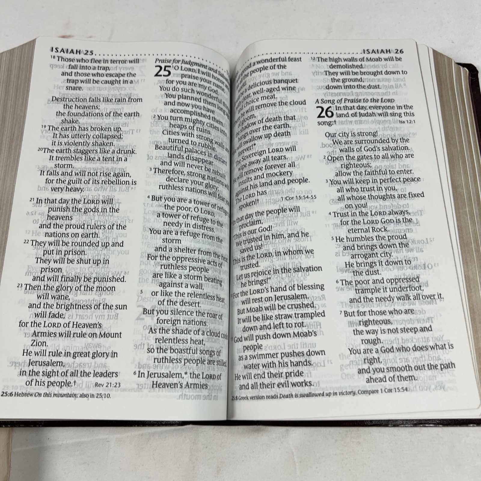 Holy Bible New Living Translation Tyndale Red Letter Personal Size LARGE PRINT