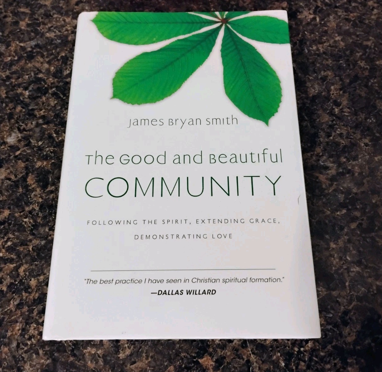 The Good and Beautiful Community by James Bryan Smith