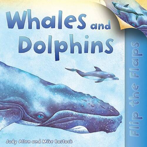 Flip The Flaps: Whales and Dolphins – Paperback By Allen, Judy – ACCEPTABLE
