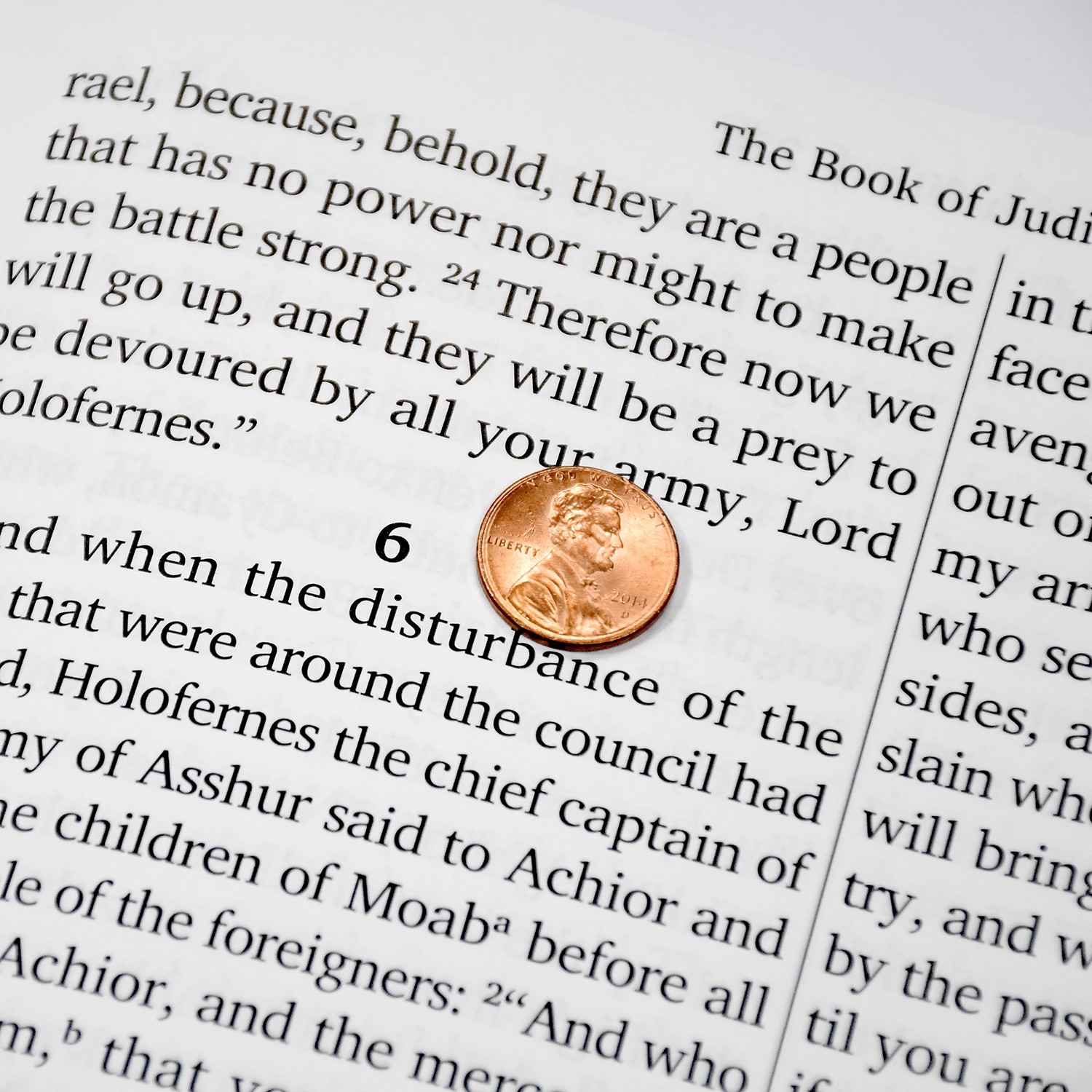 Large Print Legacy Edition, The Complete Ethiopian Bible by Asher Wilson