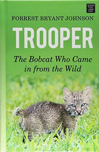 Trooper The Bobcat Who Came in – VERY GOOD