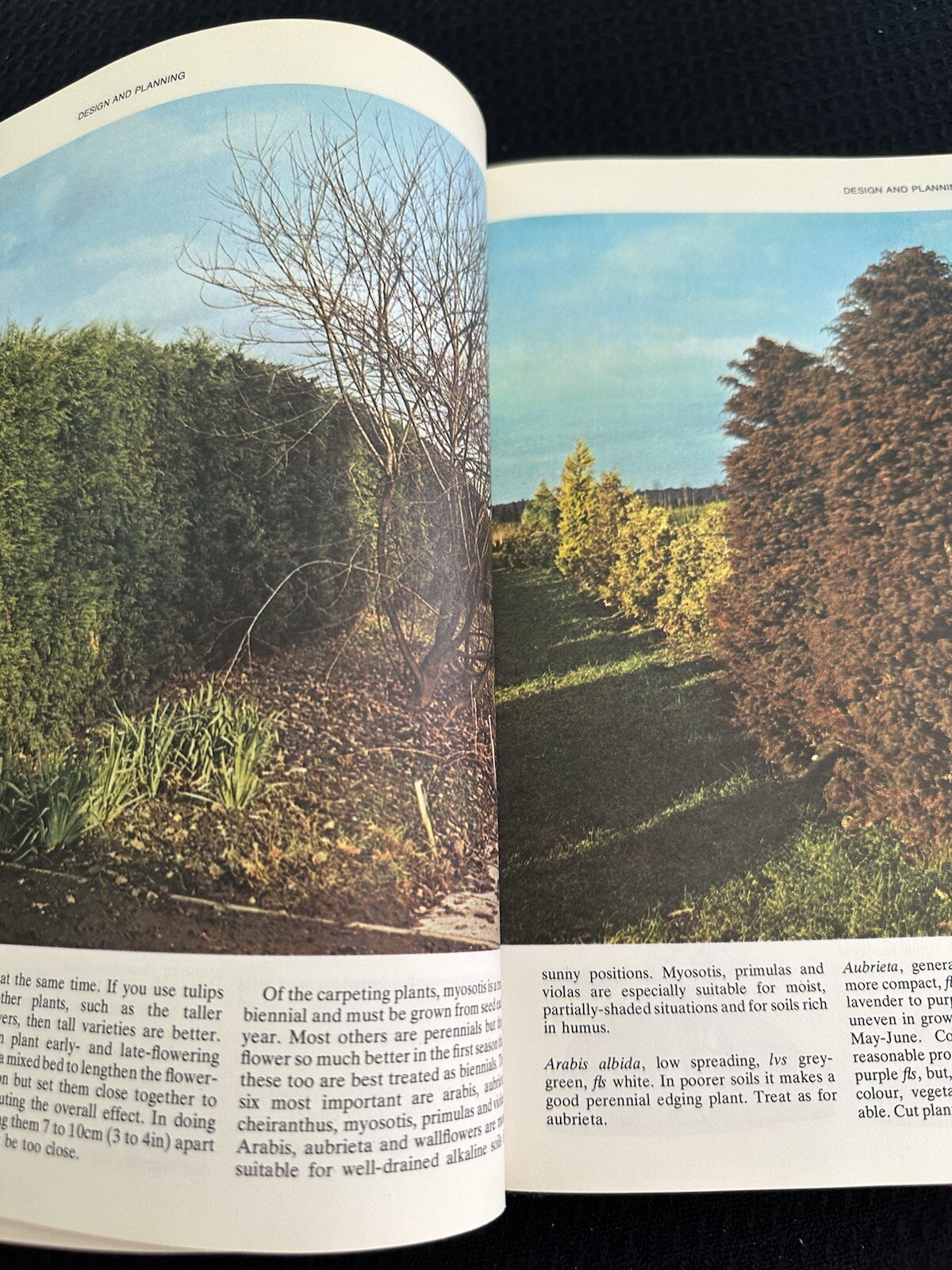 Practical Gardening Encyclopedia by Roy Hay – 1977 Hardcover