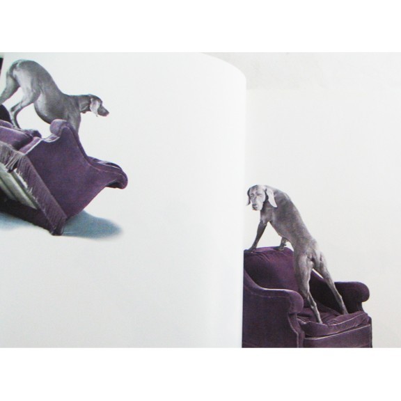 Fay by William Wegman Hardcover , Hyperion 1st Edition Published 1999, 127 Pages
