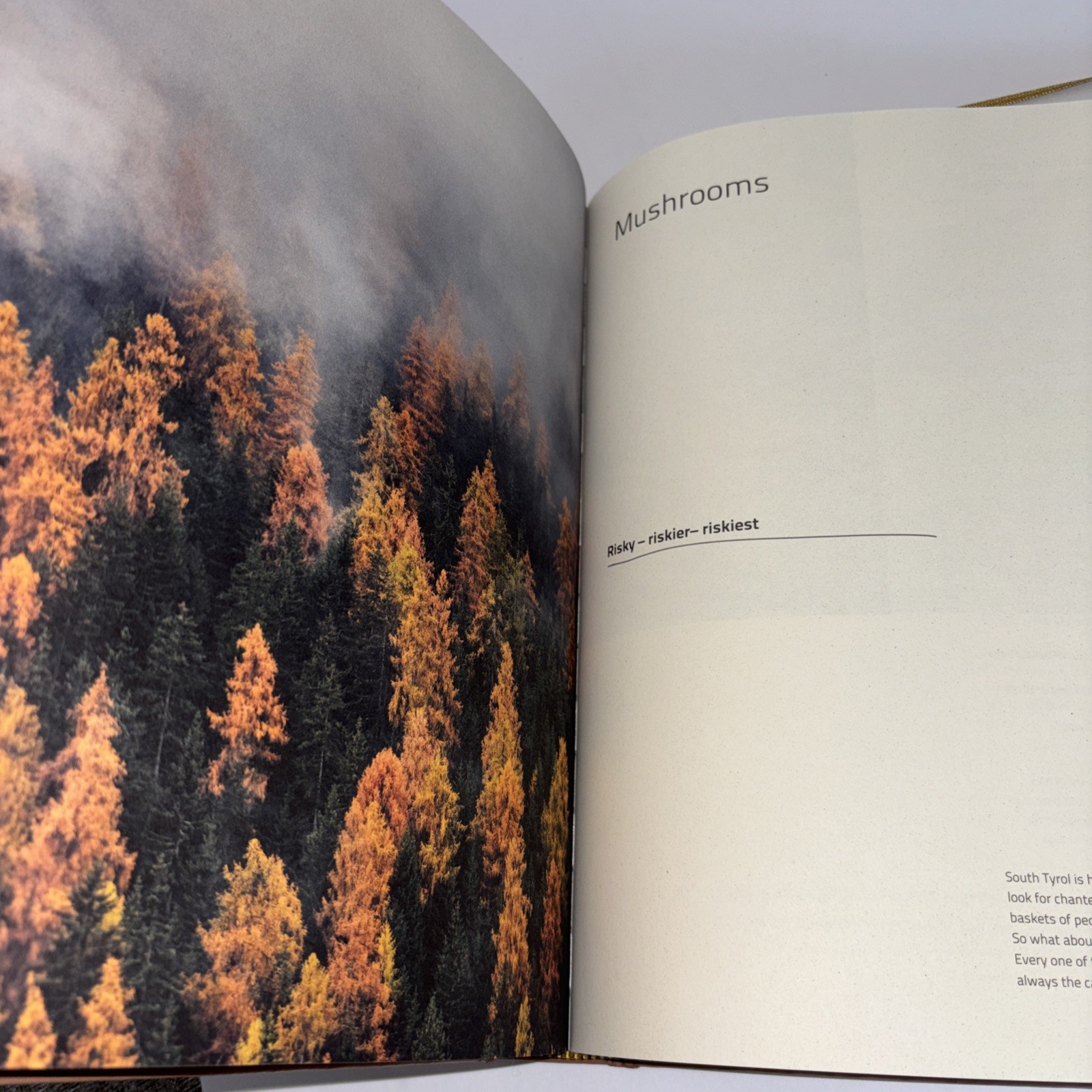 Norbert Biedermeier “Cook The Mountain” Book Prestel ISBN# 978-3-7913-8716-1