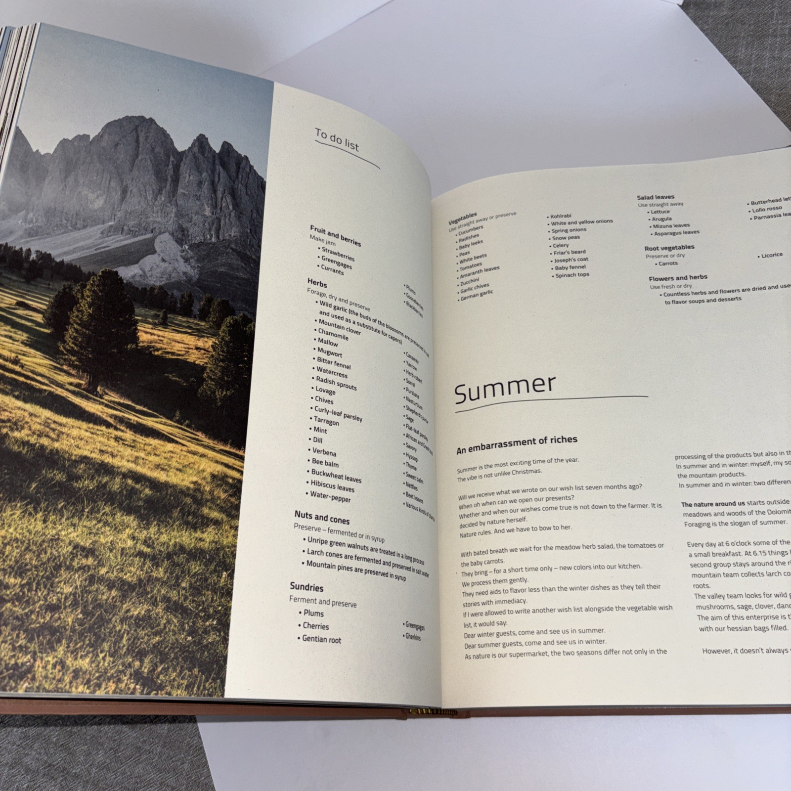 Norbert Biedermeier “Cook The Mountain” Book Prestel ISBN# 978-3-7913-8716-1