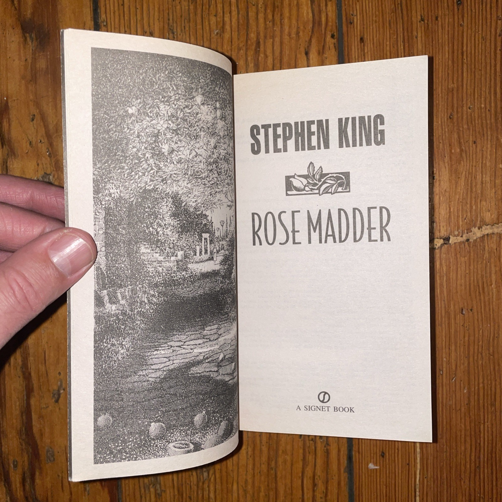 Stephen King: Rose Madder (Desperation, Regulators, Dark Tower) 1996, 1st PB