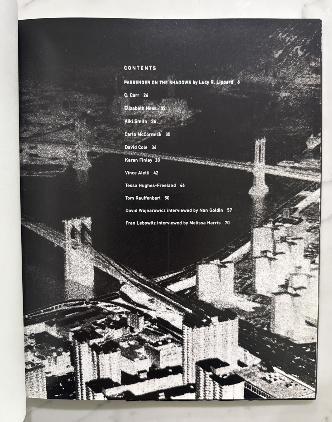 David Wojnarowicz : Brushfires in the Social Landscape (Hardcover, 1st/1st 2002)