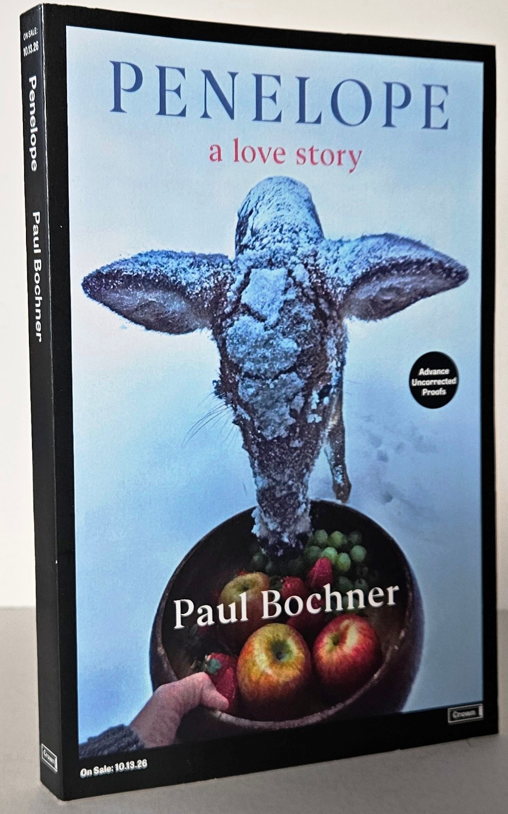 Penelope A Love Story by Paul Bochner, RARE Advance Readers Copy