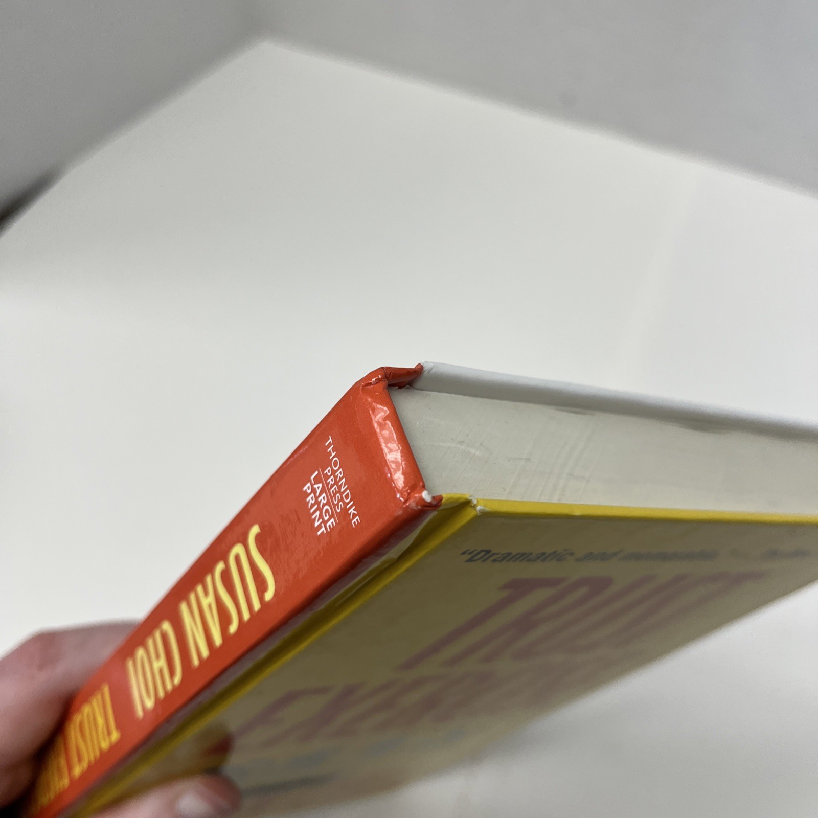 Trust Exercise : A Novel by Susan Choi 2019Ex-Library Large Print