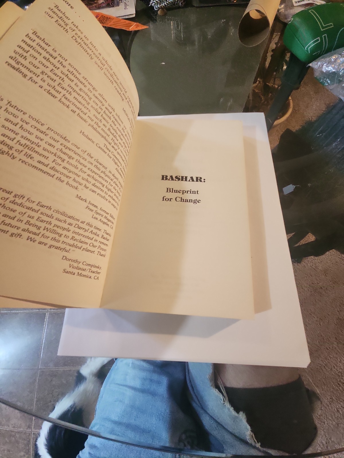 Bashar Blueprint for Change : A Message from Our Future by Darryl Anka 1991 UFOs