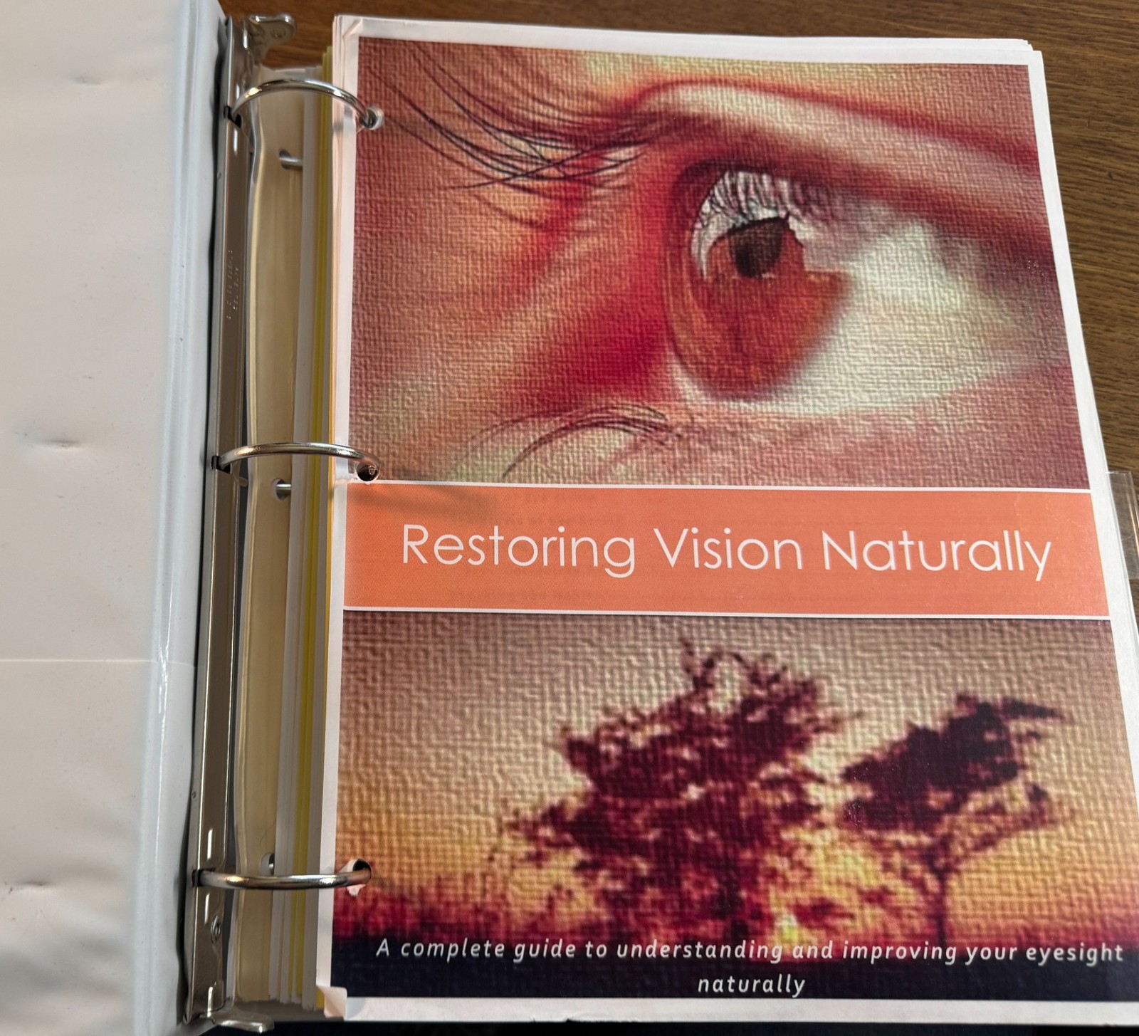 Restoring Vision Naturally * 2014 Binder 150 + pages * Natural Health