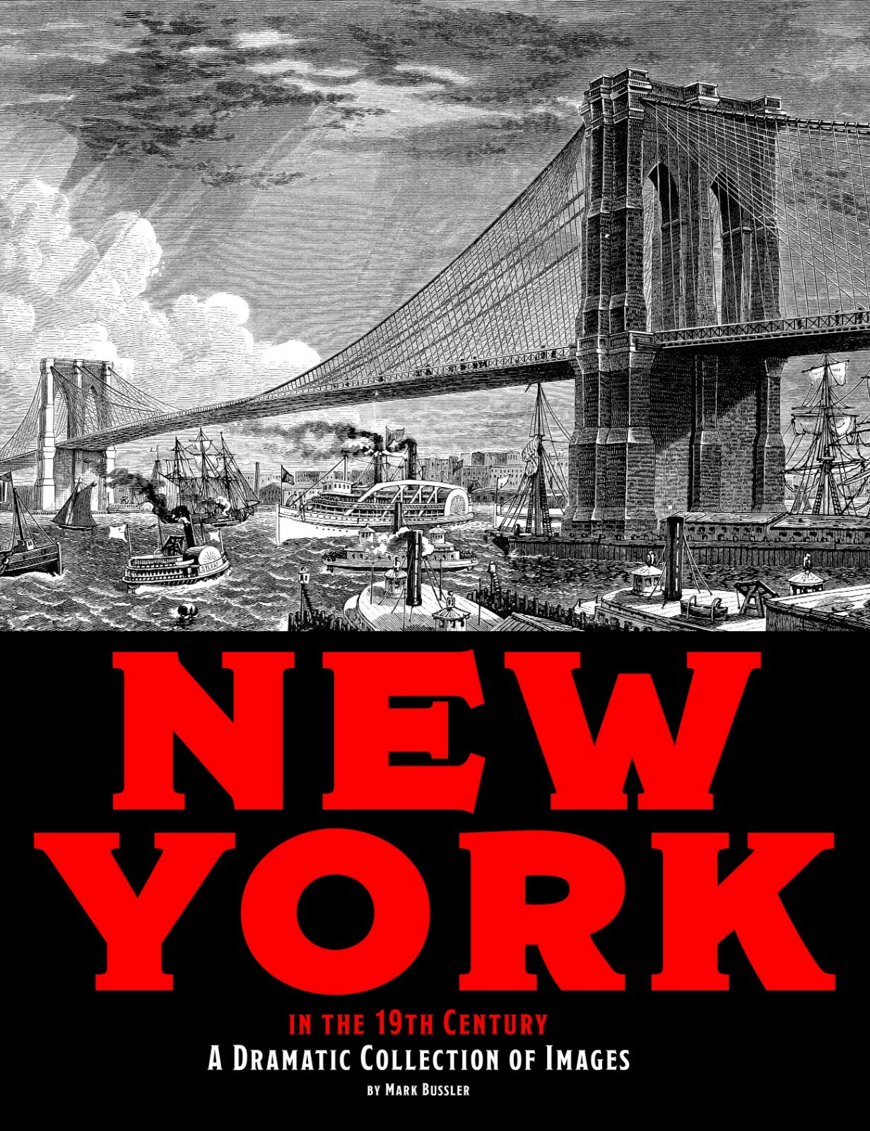 New York in the 19th Century: A Dramatic Collection of Images Book *NEW*