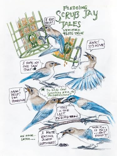 The Backyard Bird Chronicles by Amy Tan Nature and Birding Exploration
