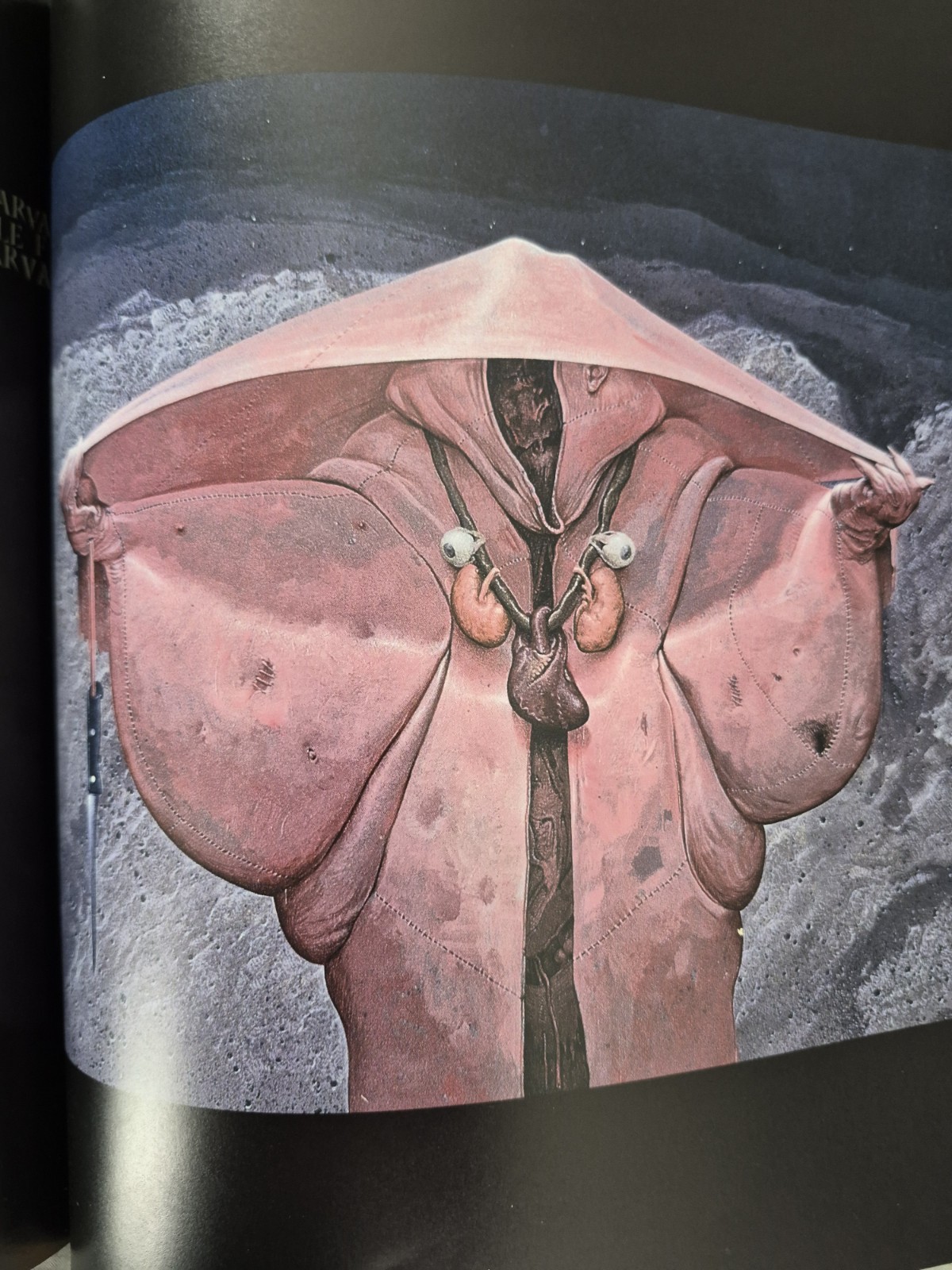 BARLOWE’S INFERNO by Wayne Barlowe (1998 Hardcover) First Edition