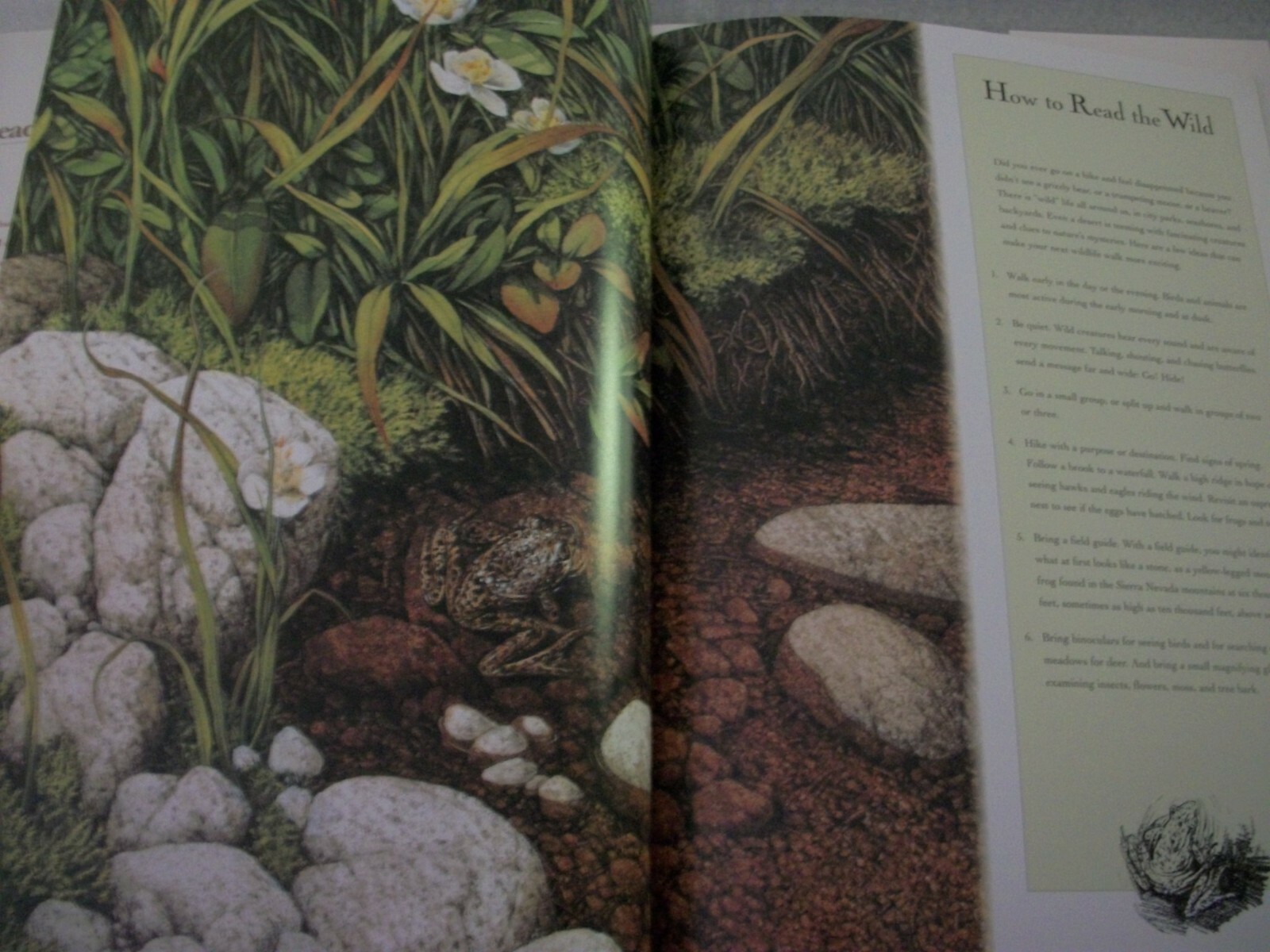 Bev Doolittle Book – Reading the Wild by Elise Maclay – First Edition – SIGNED
