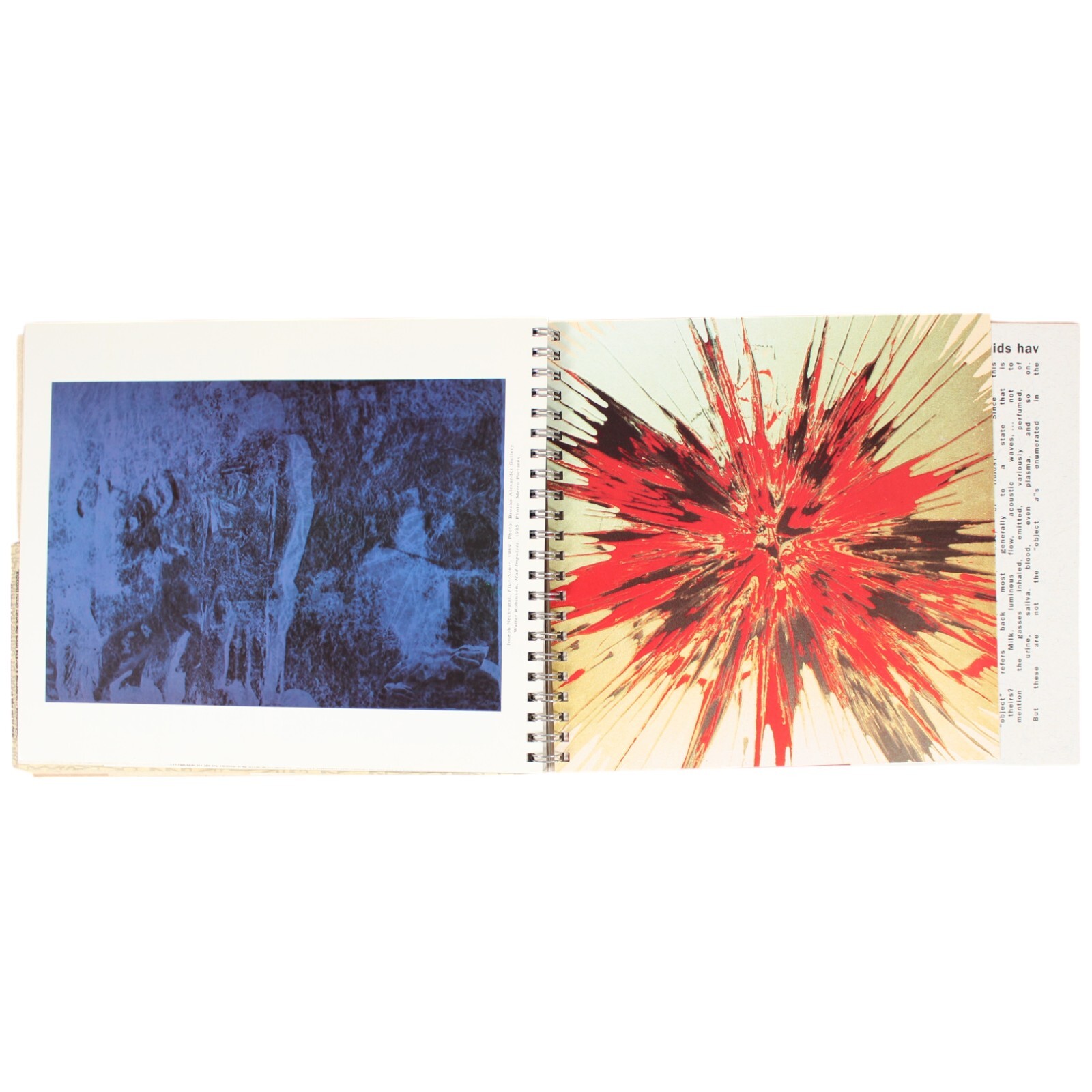 NEW MUSEUM NYC Chaos Theory Exhibition 1989 Strange Attractors Experimental Art