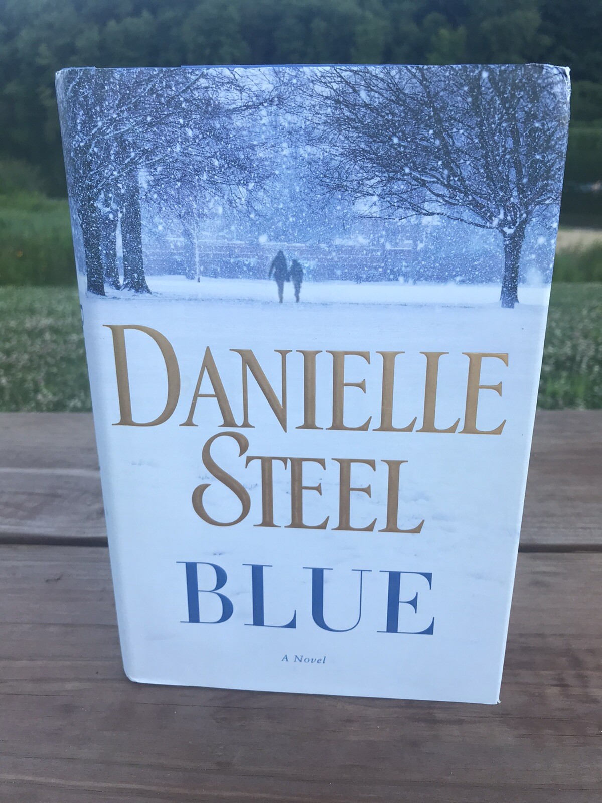 Blue by Danielle Steel (2016, Hardcover)
