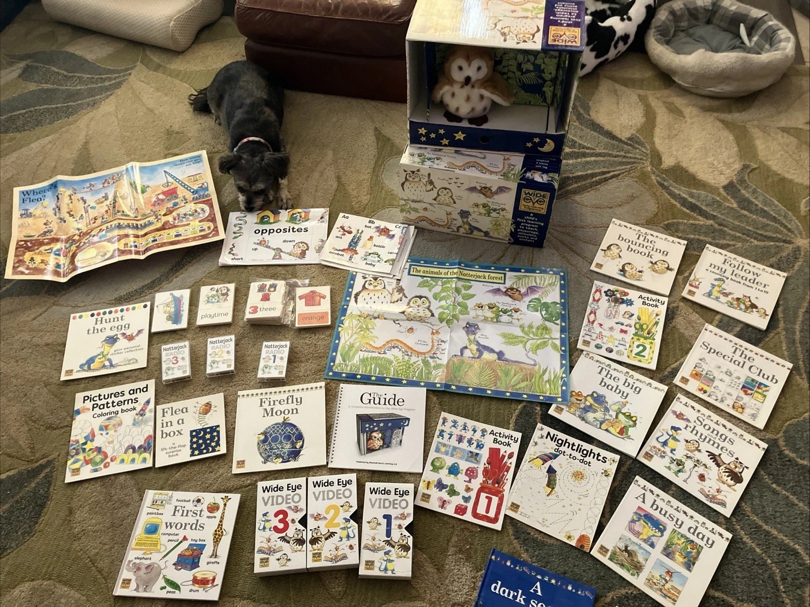 Wide Eyed Early Learning Program Kit for Toddlers Ages Books And Videos