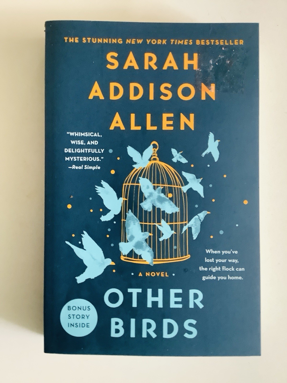 Other Birds : A Novel by Sarah Addison Allen (2023, Trade Paperback) BRAND NEW!!